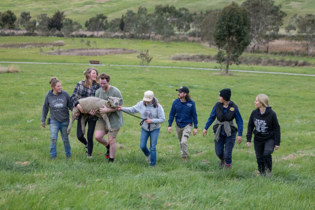 Cedric Edgar s Mission Farm Sanctuary cedric-edgar-s-mission-farm-sanctuary