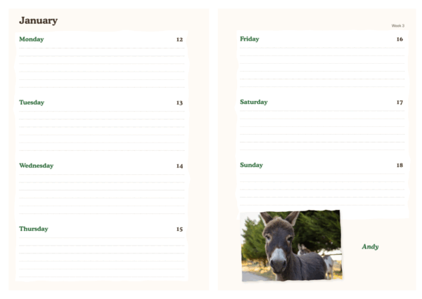 PRE-ORDER: 2026 Edgar's Mission Diary - Image 2