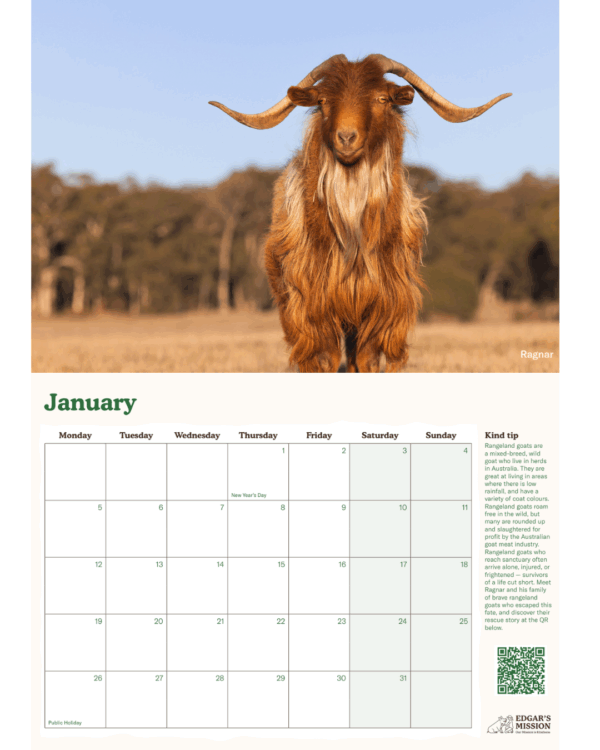PRE-ORDER: 2026 Edgar's Mission Wall Calendar - Image 2