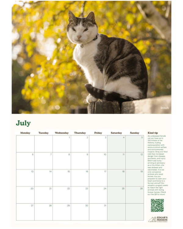 PRE-ORDER: 2026 Edgar's Mission Wall Calendar - Image 3