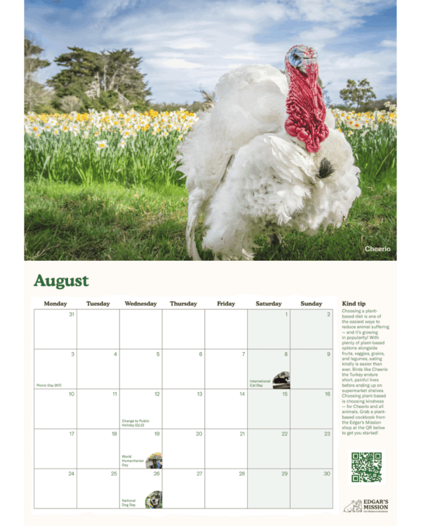 PRE-ORDER: 2026 Edgar's Mission Wall Calendar - Image 4