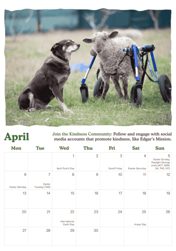 PRE-ORDER: 2026 Be Kind Like Ruby calendar - Image 3