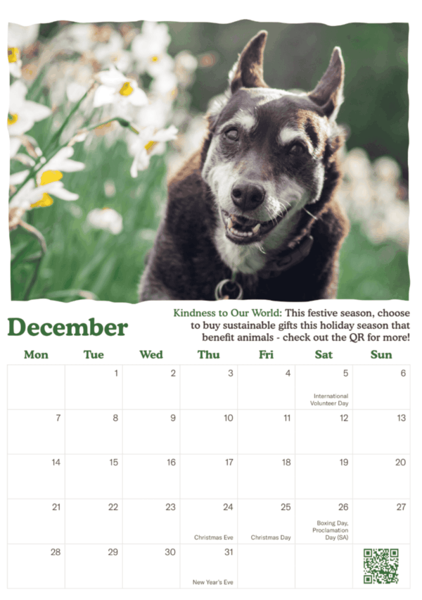 PRE-ORDER: 2026 Be Kind Like Ruby calendar - Image 4