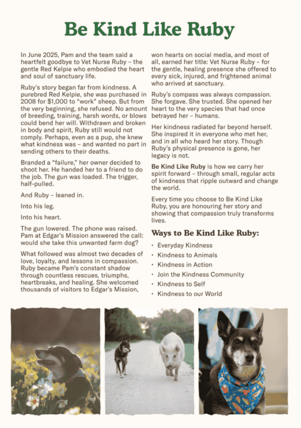 PRE-ORDER: 2026 Be Kind Like Ruby calendar - Image 5