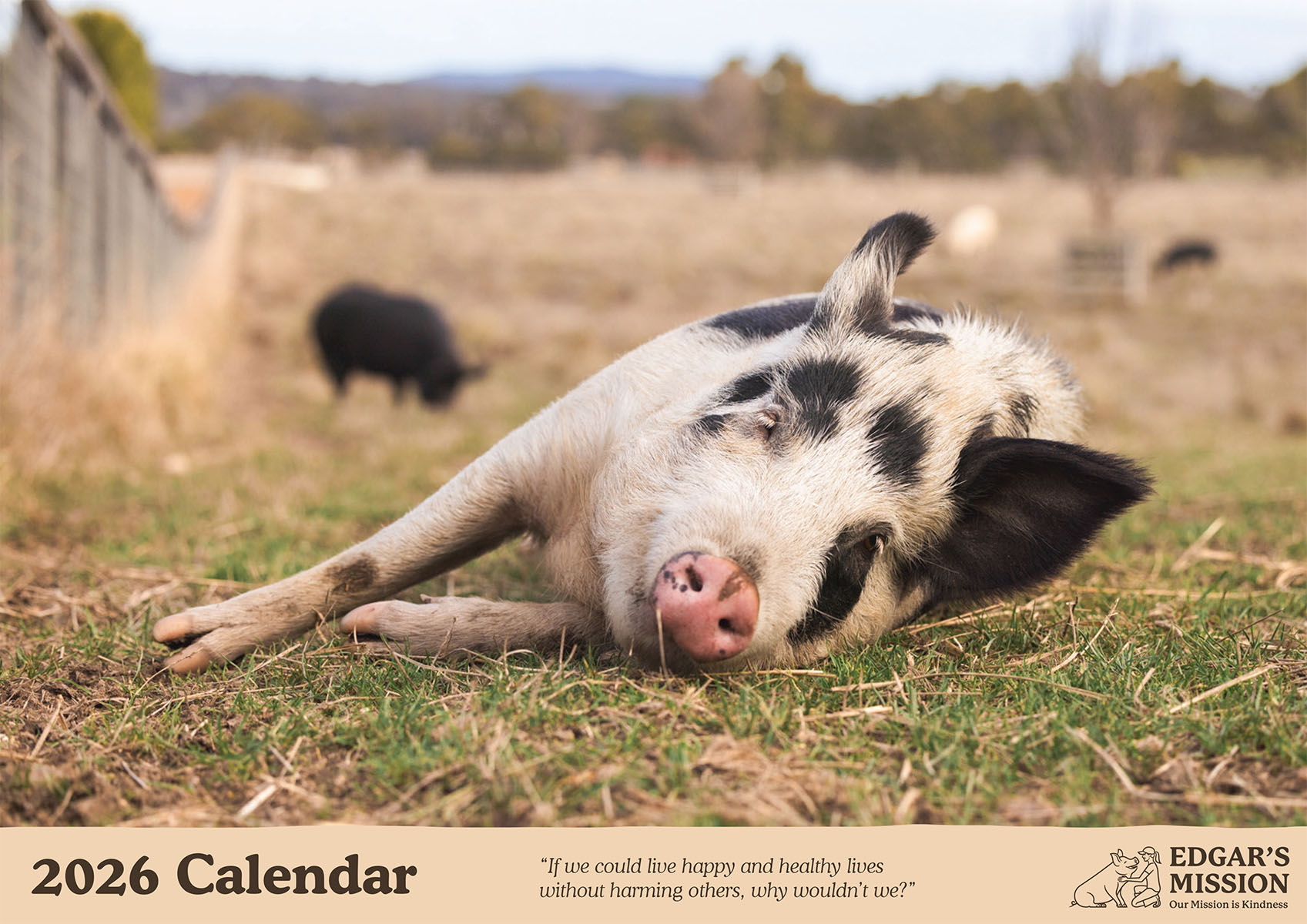 NOW IN STOCK: 2026 Edgar's Mission Wall Calendar - Image 2