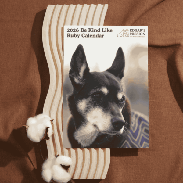 PRE-ORDER: 2026 Be Kind Like Ruby calendar