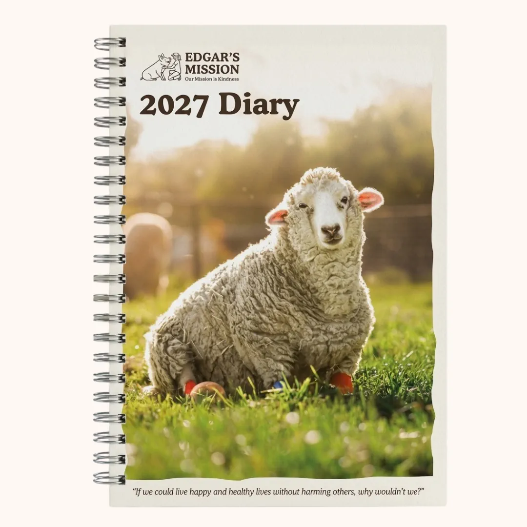 2027 Diary